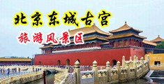 啊啊啊啊啊好大好疼视频中国北京-东城古宫旅游风景区